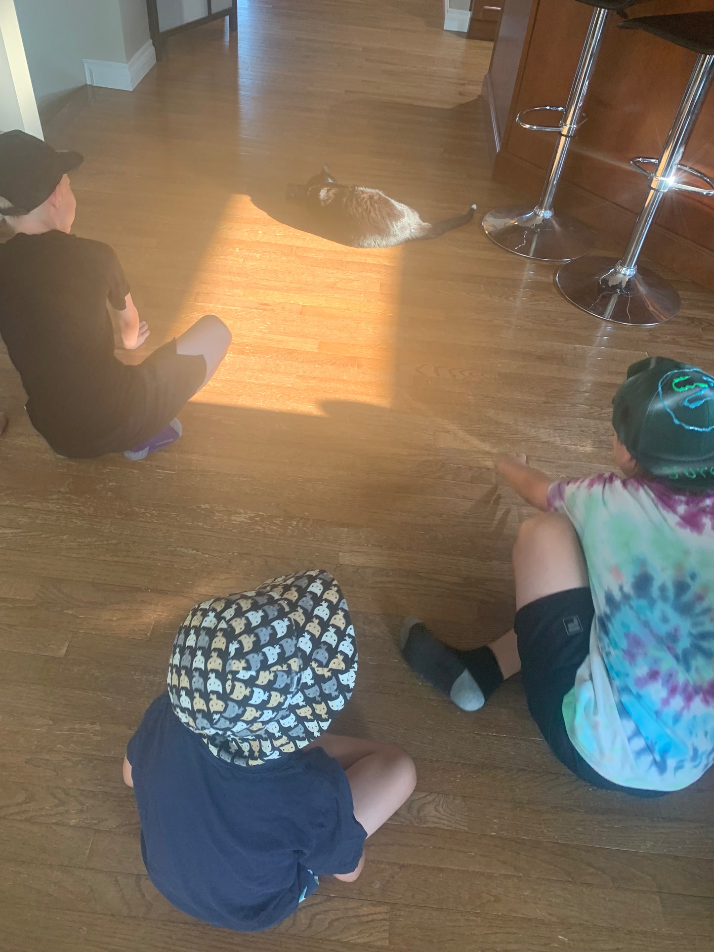 Catnip Toys - Pillow