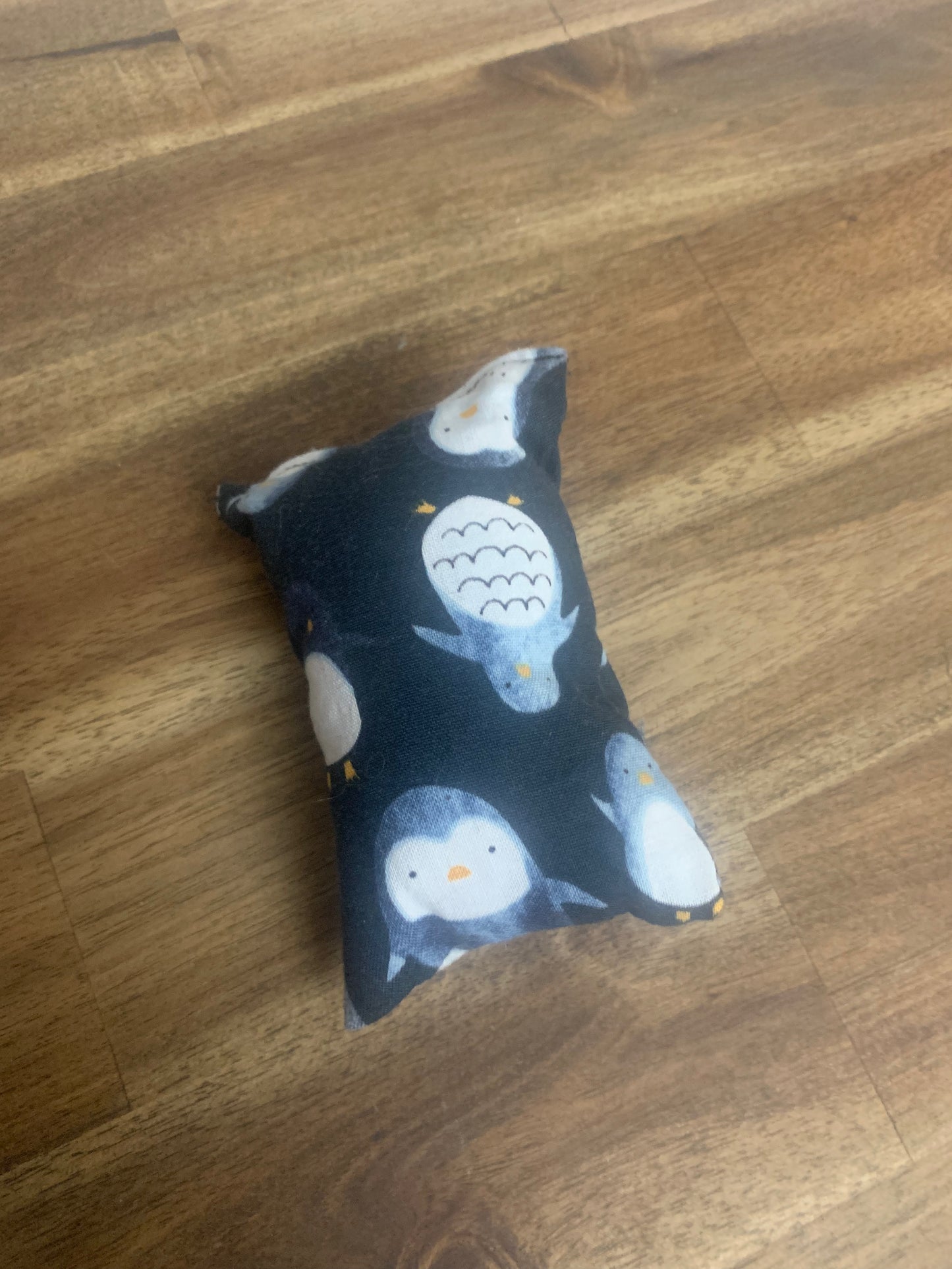 Catnip Toys - Pillow