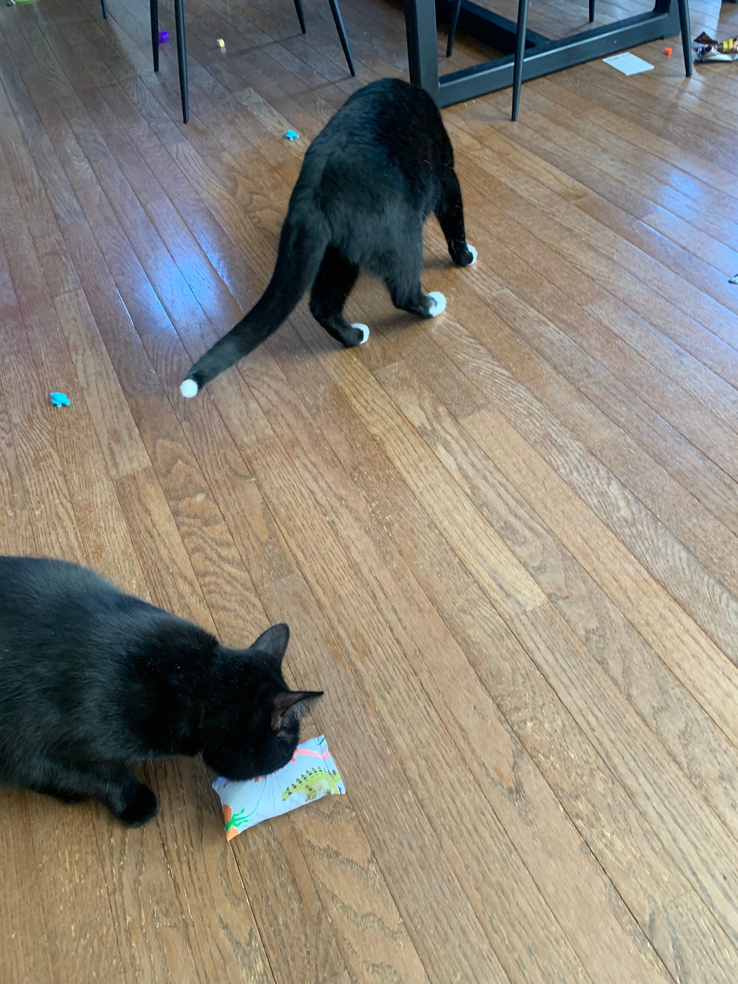 Catnip Toys - Pillow