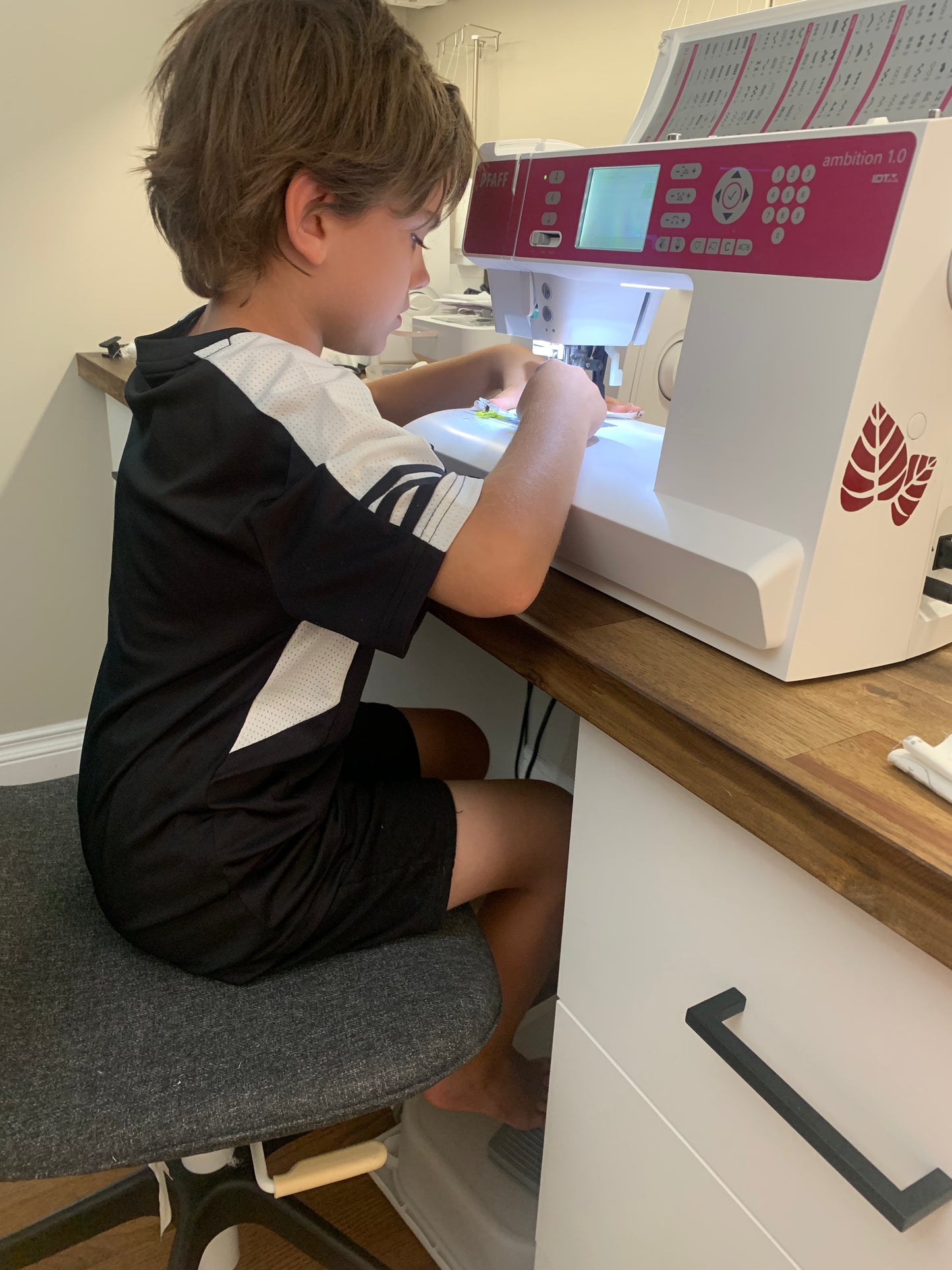 Catnip Toys - Pillow